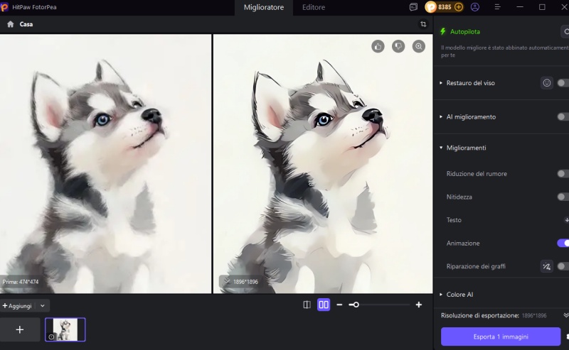 disegno husky