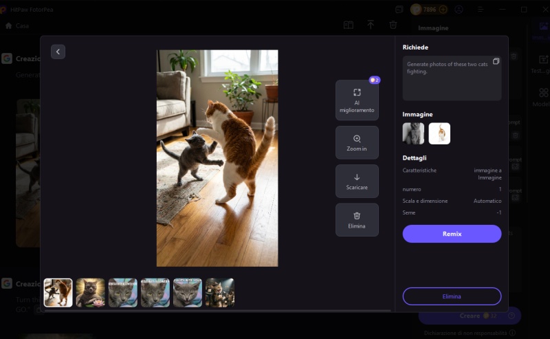 il risulto dei gatti che litigano