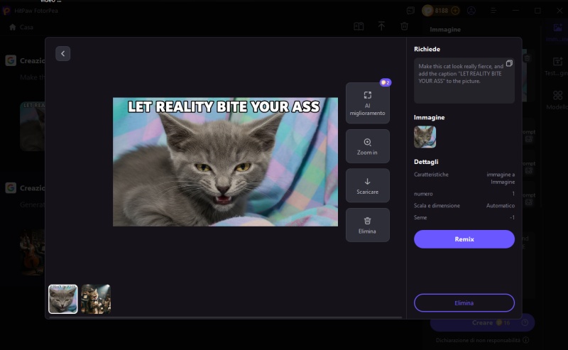 il risulto di gatto arrabbiato