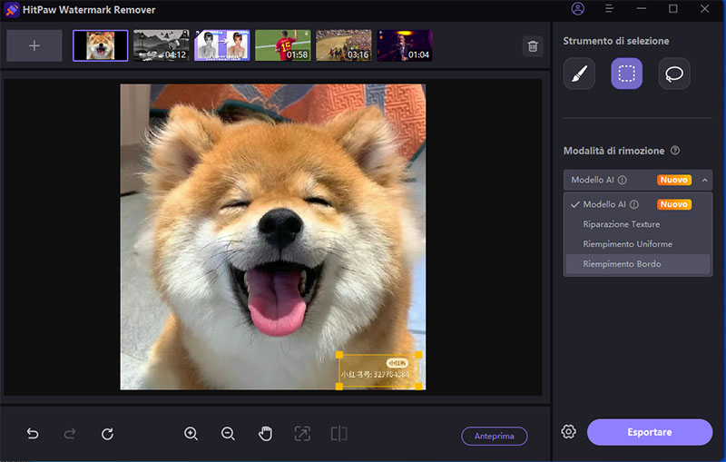 è possibile rimuovere un filtro da una foto