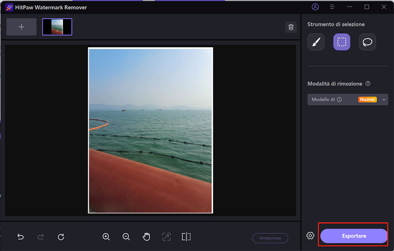 HitPaw image watermark remover Shutter-stock removes watermark online.