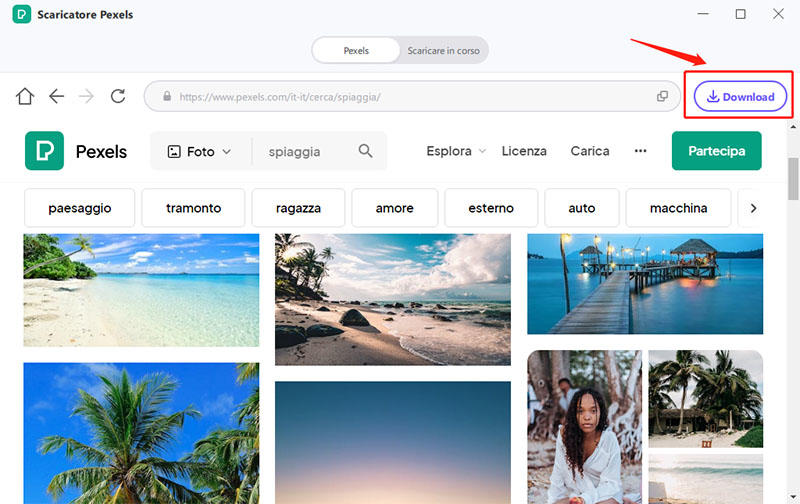 batch download pexels photos