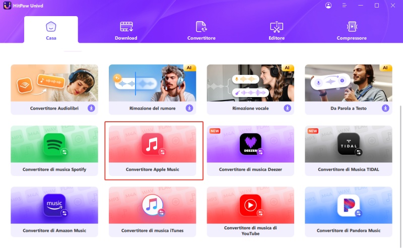 hitpaw apple music converter feature