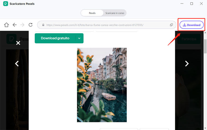 download one pexels photo