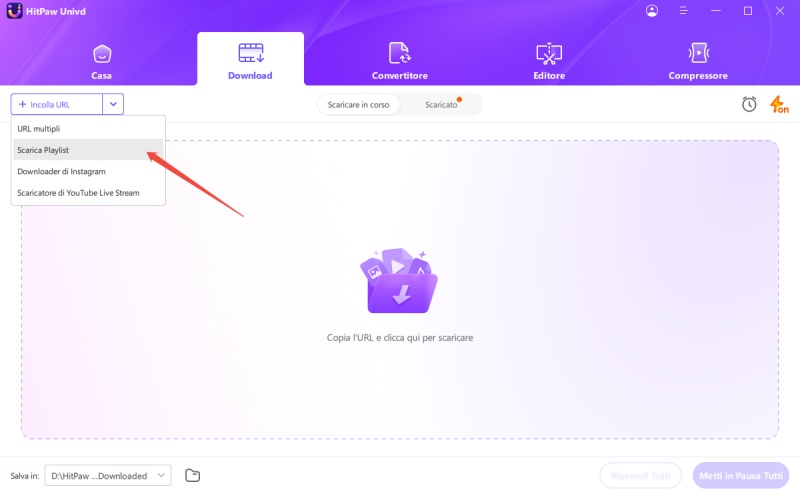 download YouTube playlist with hitpaw video converter