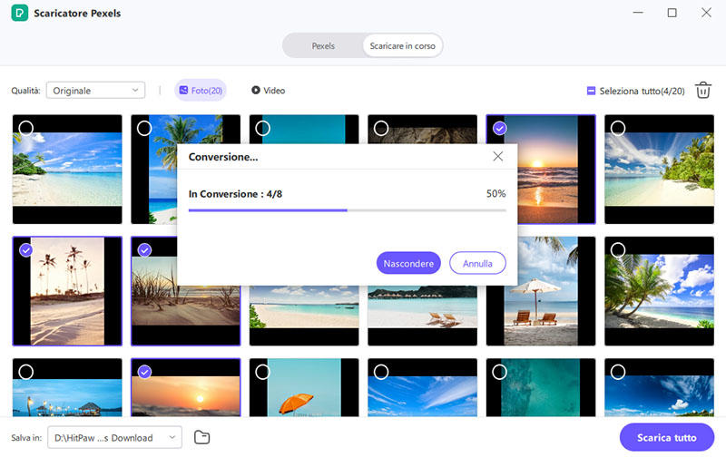 downloading pexels photos