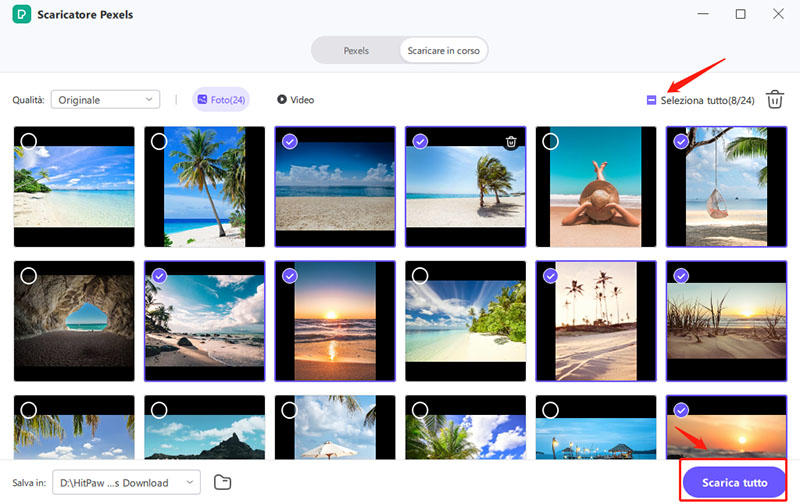 download all pexels photos
