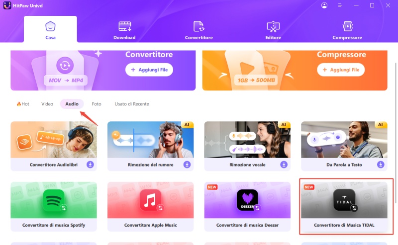hitpaw tidal converter