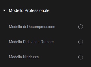 hitpaw vikpea professional model