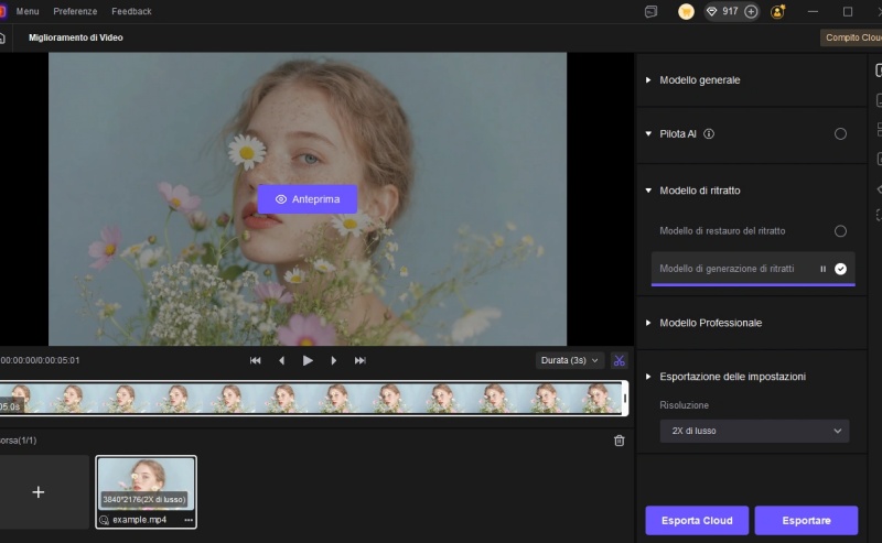 hitpaw vikpea portrait generation model