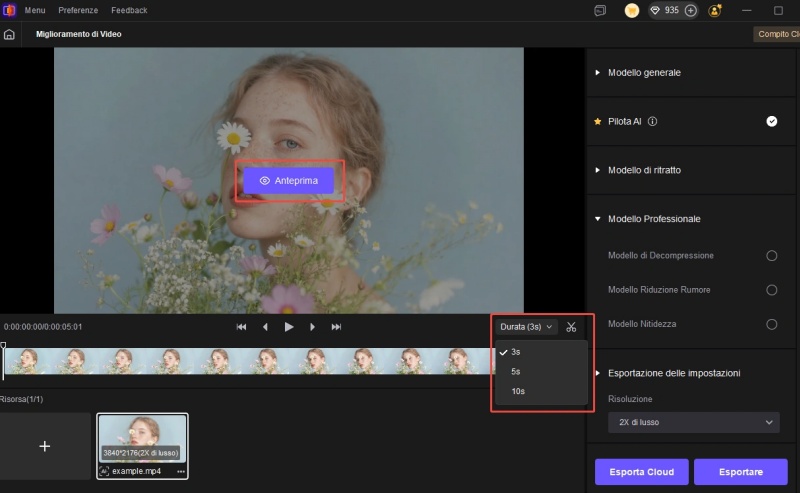 preview and export video