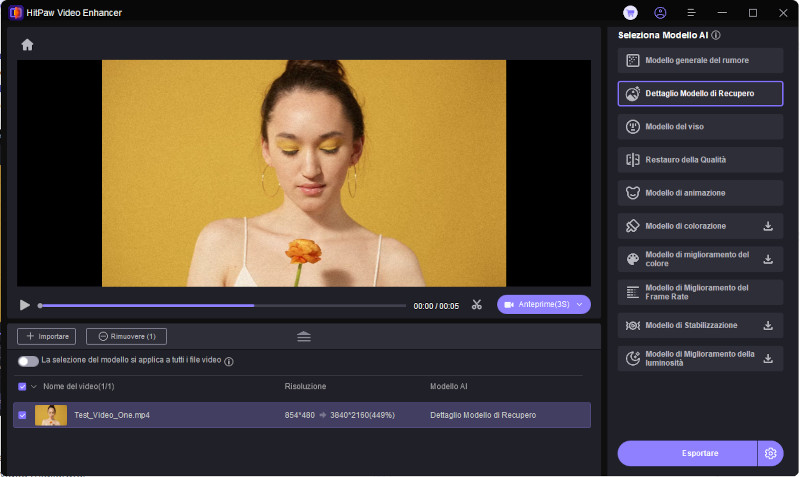 scegli il modello di denoising generale e seleziona il formato gif