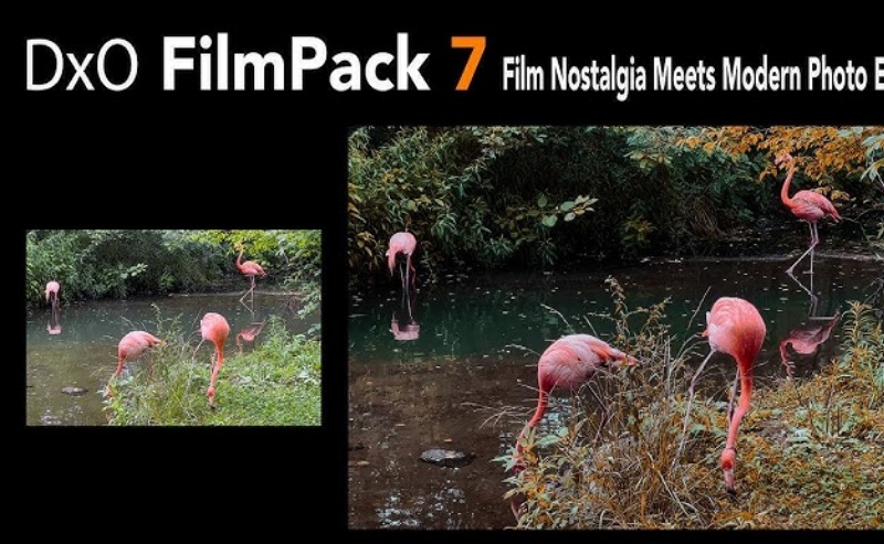 DxO FilmPack