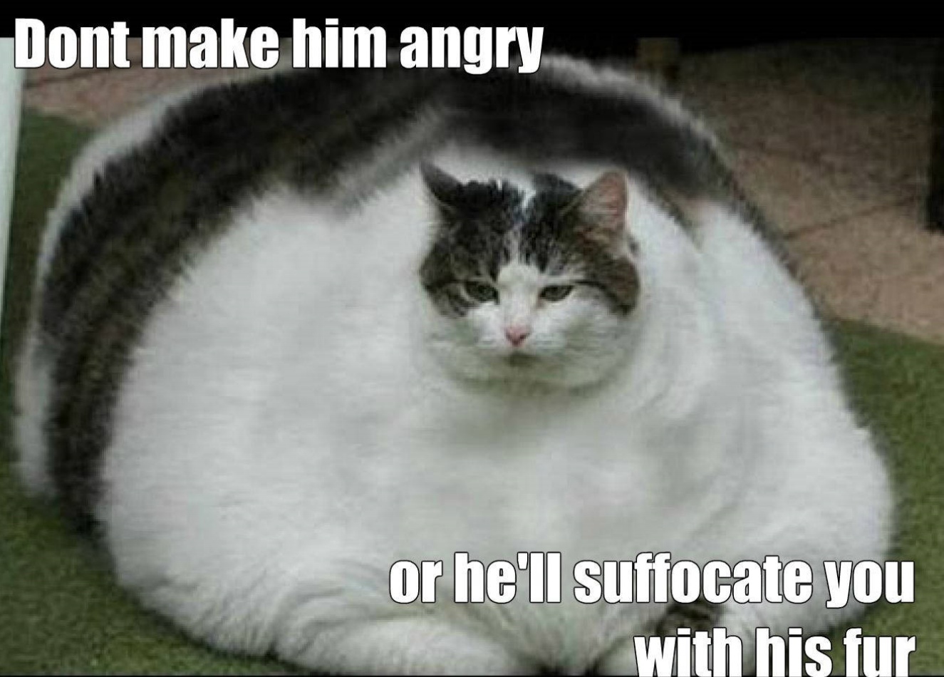 don't make him angry