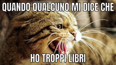 quando qualcuno che mi dice che ho troppo libri