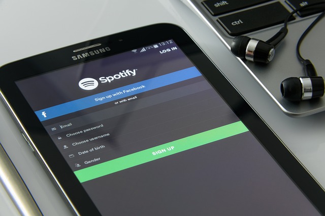 I 10 Migliori Convertitori MP3 di Spotify (Desktop e Online)