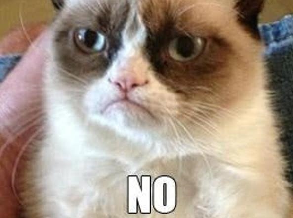 garfi, il gatto arrabbiato turco