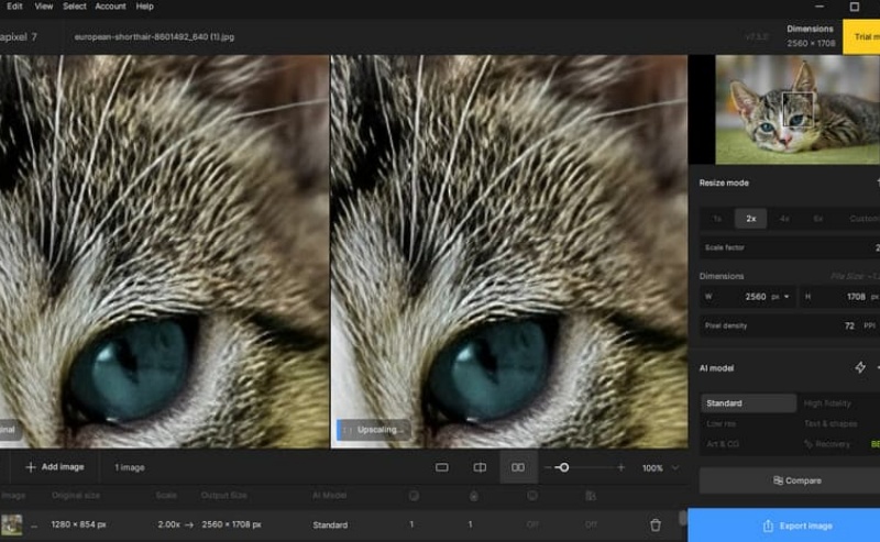 ai processing the ai model for clothing