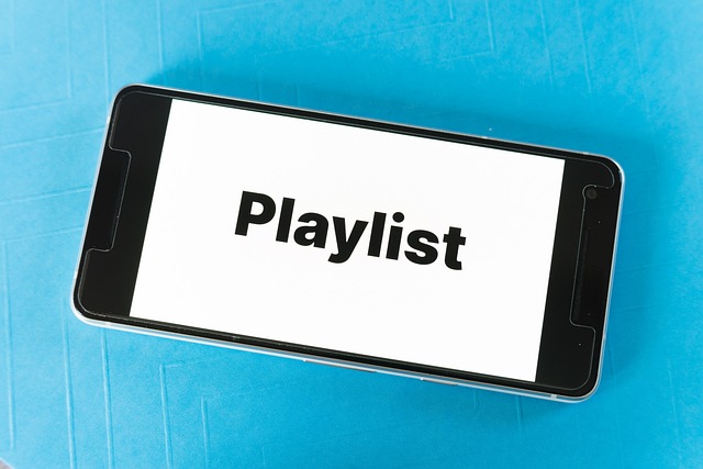 Come Download Spotify Playlist per l'Ascolto Offline