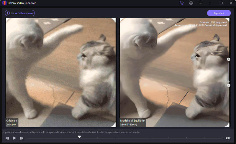 Esportare la GIF migliorata